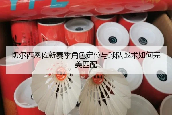 切尔西恩佐新赛季角色定位与球队战术如何完美匹配